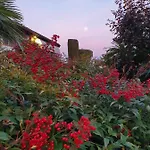 Corte Delle Rose Bed & Breakfast