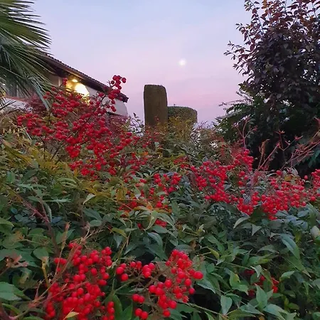 Corte Delle Rose فندق مبيت وإفطار